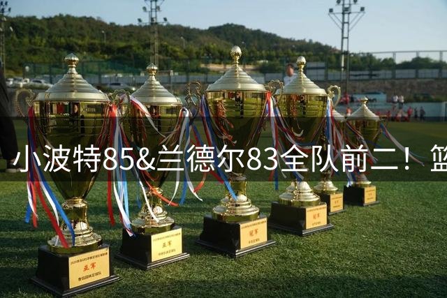 小波特85&兰德尔83全队前二！篮网仅2人2K能力值80+ 6号秀布朗74