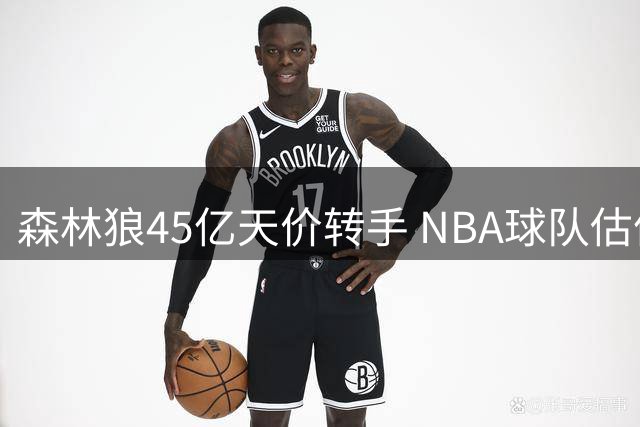 森林狼45亿天价转手 NBA球队估值五年暴涨200%